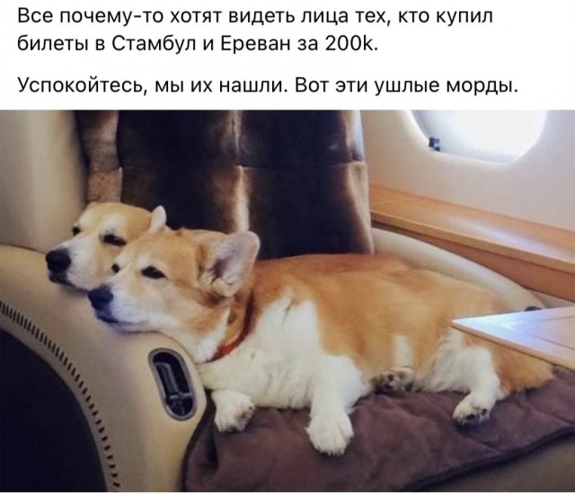 Немного мемов на злобу дня