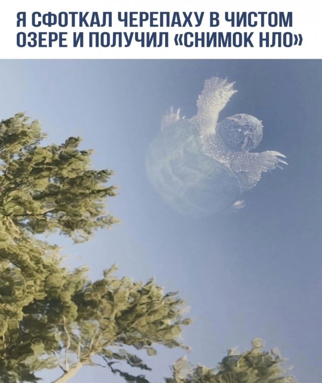 Так себе картинки 16.07.23