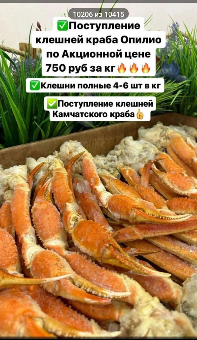 Крабы подешевели и сравнялись по стоимости с раками в России