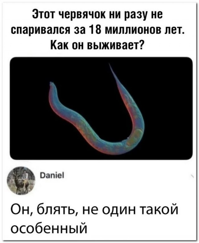 Забавные комментарии из социальных сетей (09.10.23)