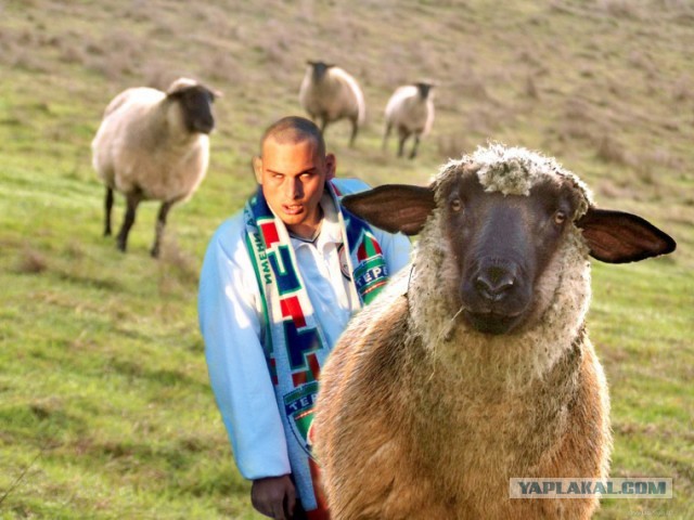 Грозненский фанат ФК "Терек"