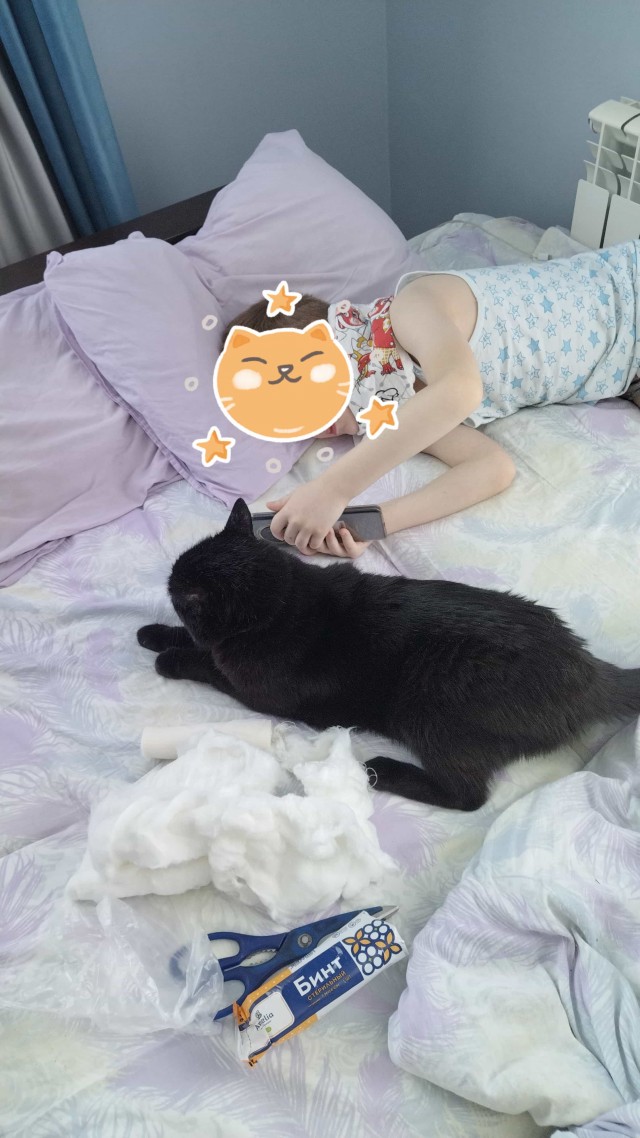 Котовторник 09.04.24