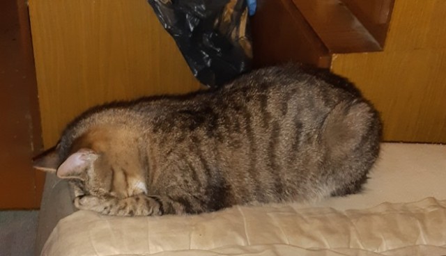 Сборник рассказов ЯПовских авторов. Обсуждение проблемы.