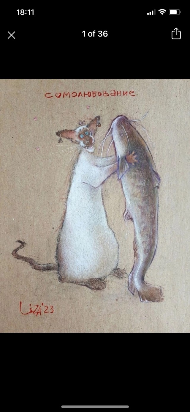 Котовторник в картинках