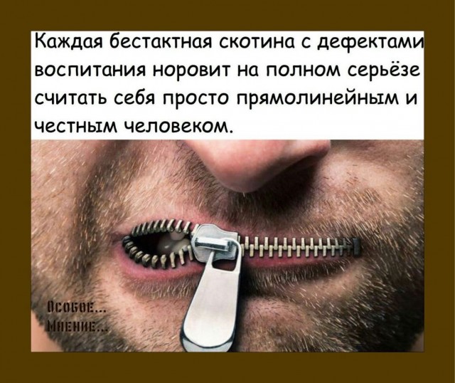 Прикольные и просто красивые картинки 13.09.2024
