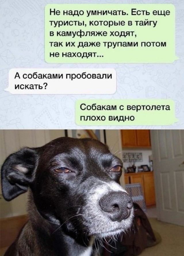 Так себе картинки 03.12.24
