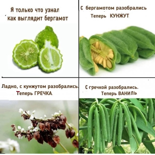 Картинки разные с надписями и без