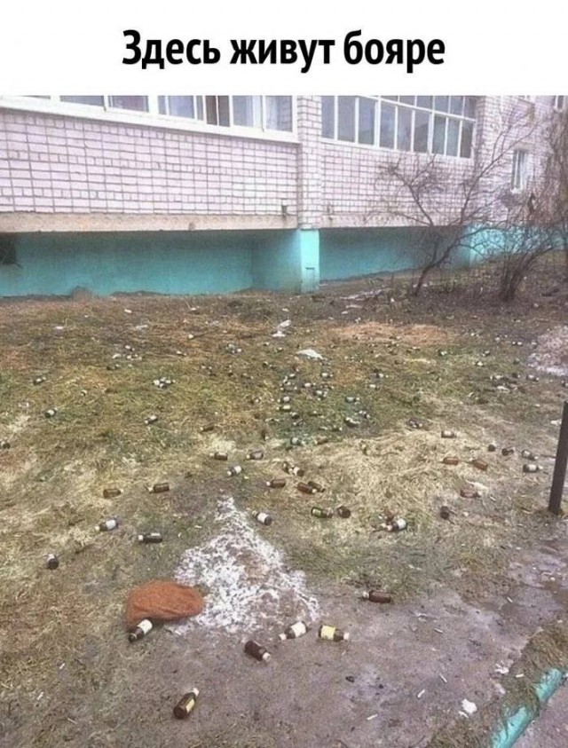 Так себе картинки 30.01.25
