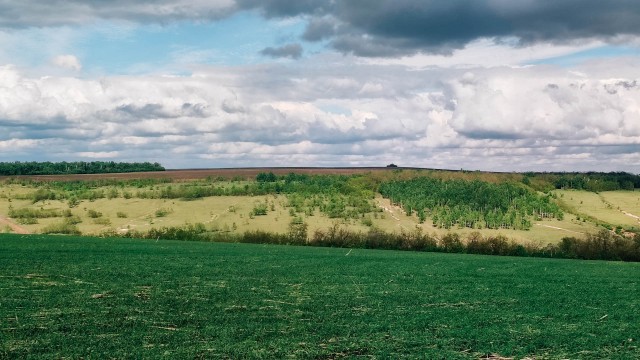 Мой туризм