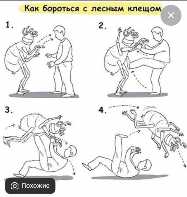 Запоминайте на лето