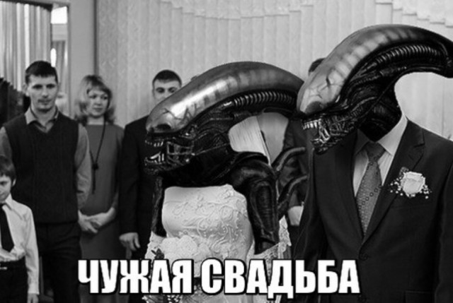 Завалялось тут случайно немного забавных картинок