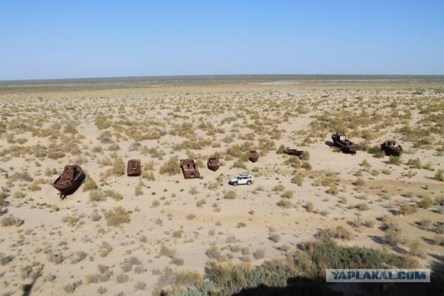 Через 3 года талибы перекроют воду узбекам