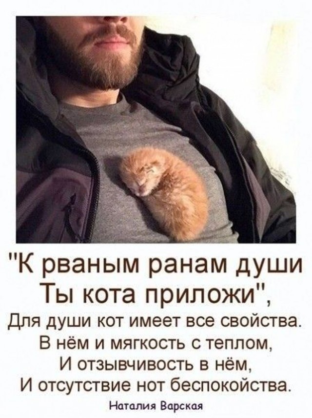 Прикольные и просто красивые картинки 06.05.2025