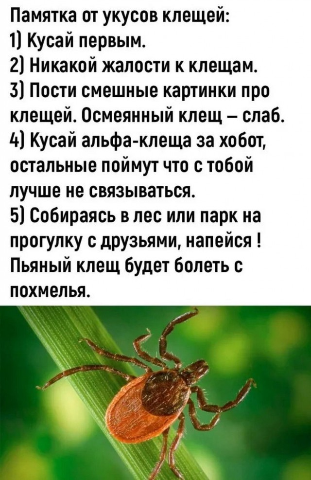 Раздача сокровищ из галереи