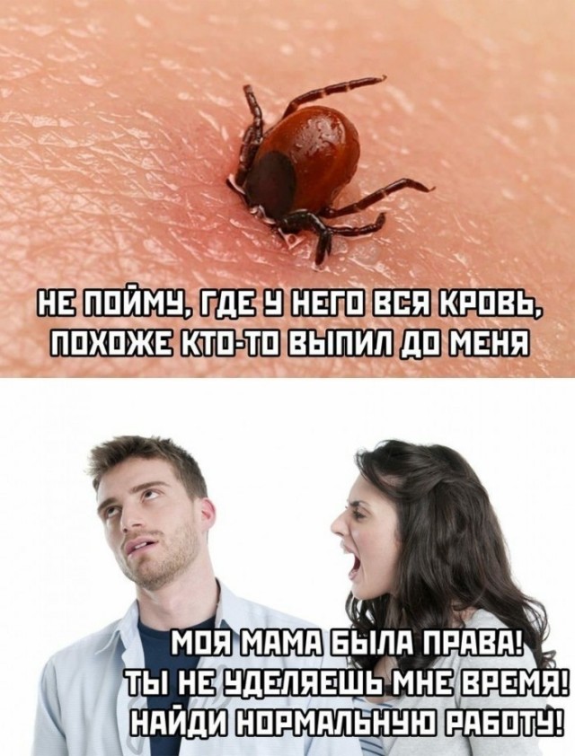ТРРРидцать тРРРи от 26 мая