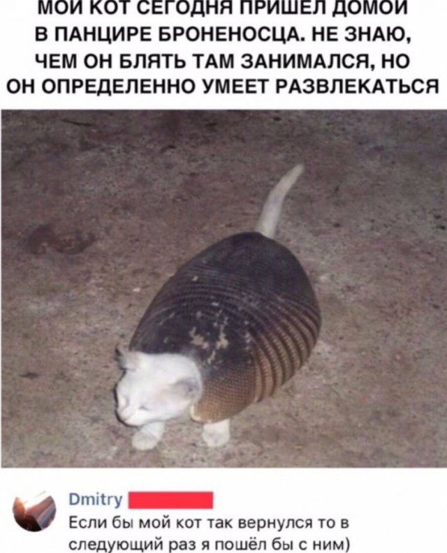 Завалялось тут случайно немного забавных картинок