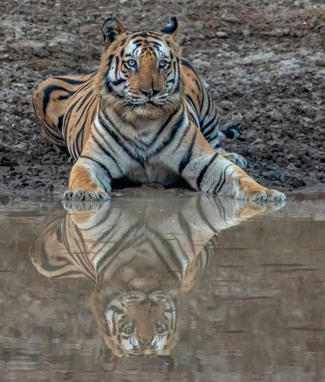 ФотоВинегрет