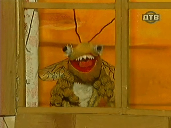 Водитель потерял сознание из-за укуса шершня и влетел в столб в Приморье