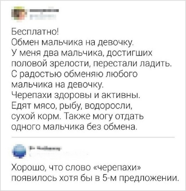 Так себе картинки 13.08.25