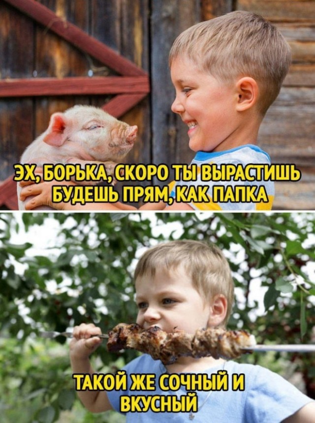 Картинки для деградации 22 ( разной степени свежести)