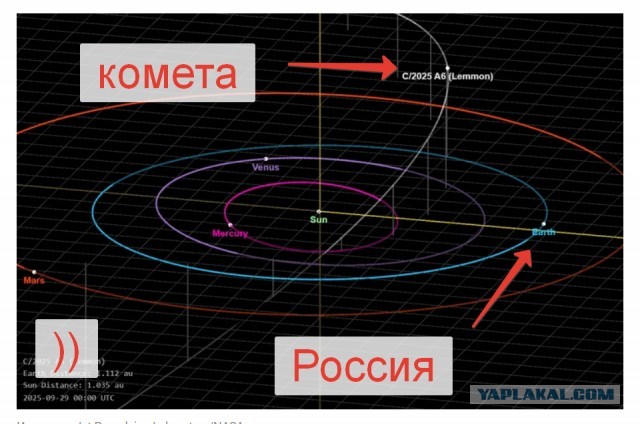 Редчайшая яркая комета прямо сейчас пролетает над Россией