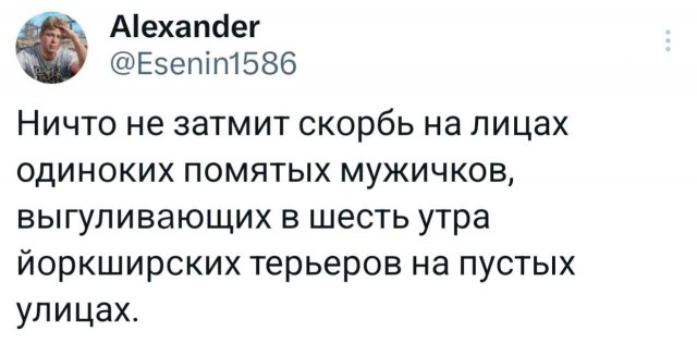 Картинки для деградации 87 (разной степени свежести)