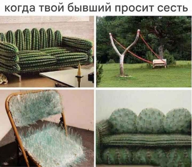 Среды картинки