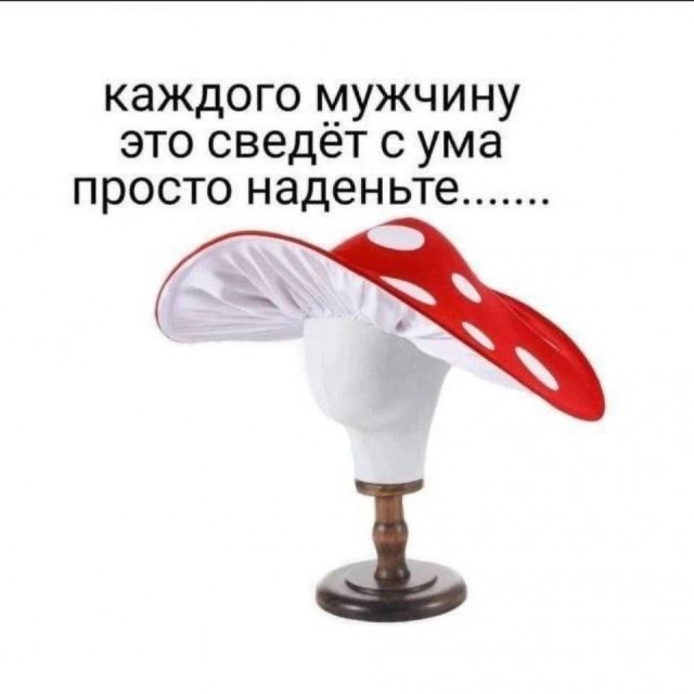 Прикольные и просто красивые картинки 02.12.2025
