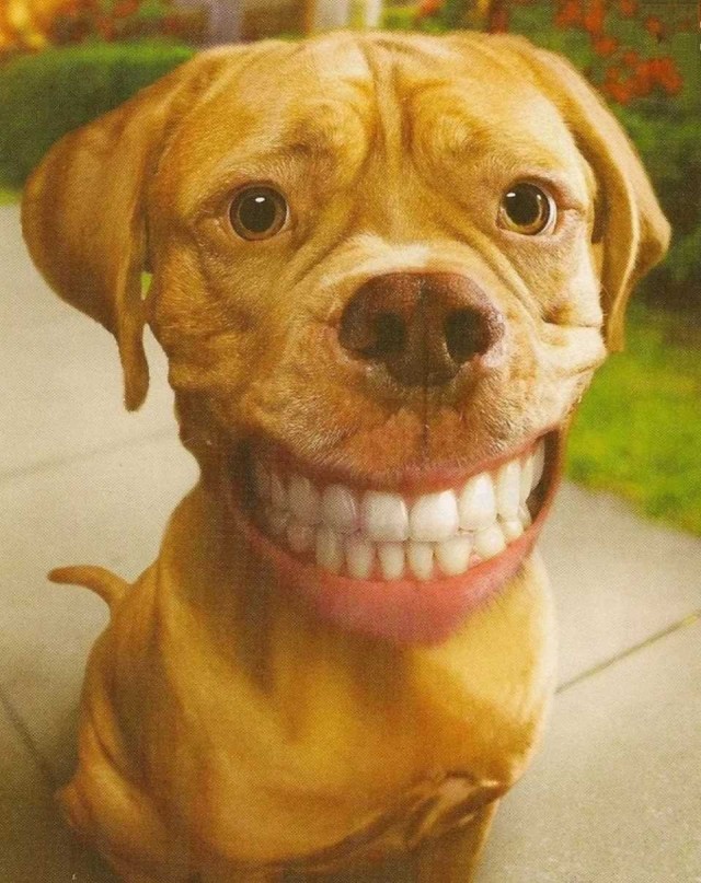 Приколистка