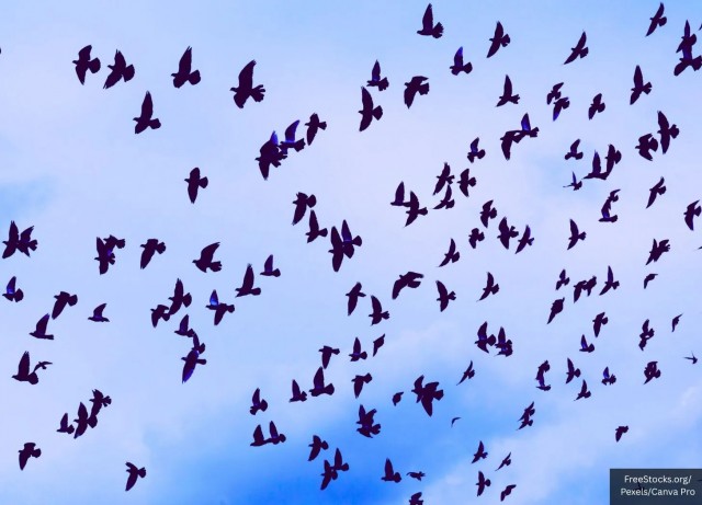 Ковид, Цифровая валюта и прочие радости. III