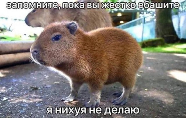 Картинки для деградации 129 (разной степени свежести)