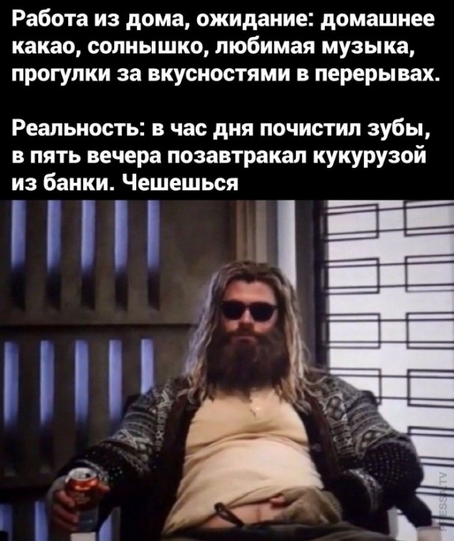 Веселые картинки в понедельник (который вторник) (10.03)