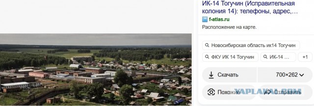 Рекордный торт Наполеон весом 101 кг испекли в...