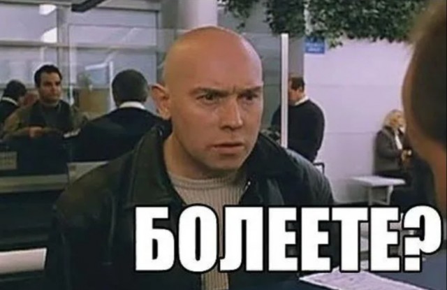 Зоопарк из Франции не сможет выделить невесту манулу Тимофею