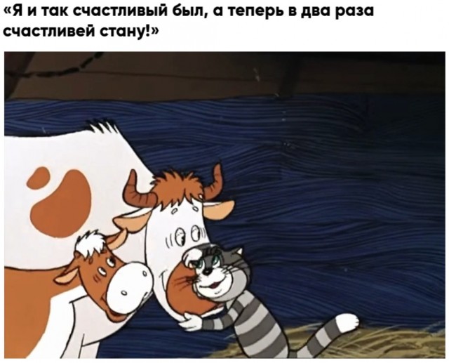 Рождение жеребёнка