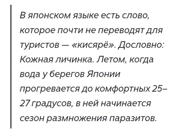 Кружки качества по-японски. Или почему мы предпочитаем автомобили из Страны Восходящего солнца