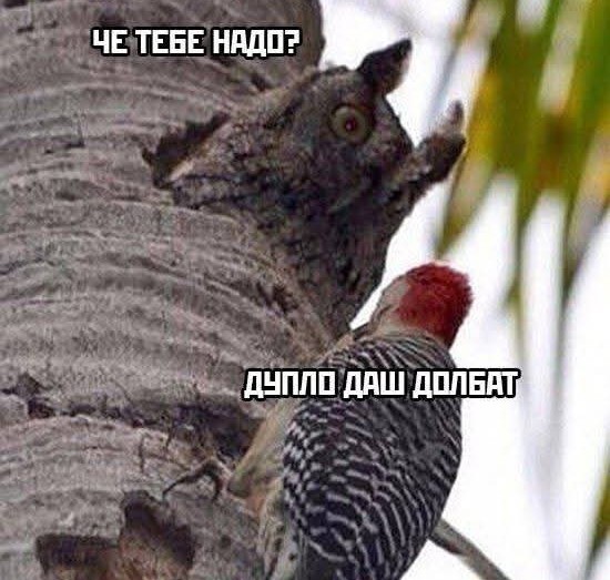 Мда уж....