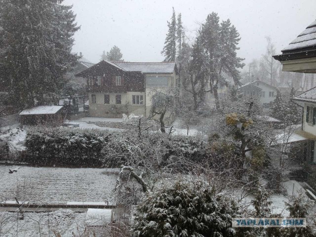 Поездка в Швейцарию