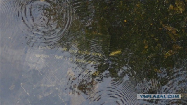 Он не умер... Памяти Цоя