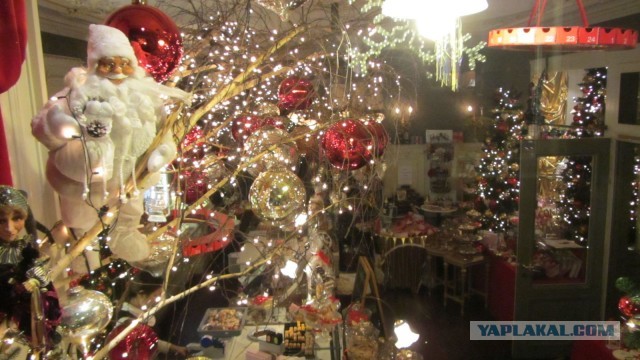 В поисках музея ПрофессораПлейшнера