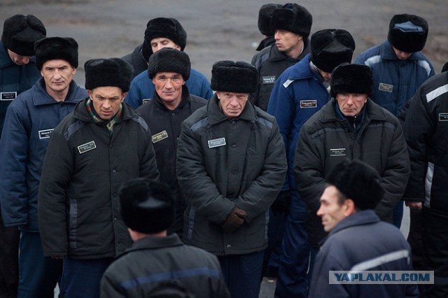 Сердюков устроился на работу