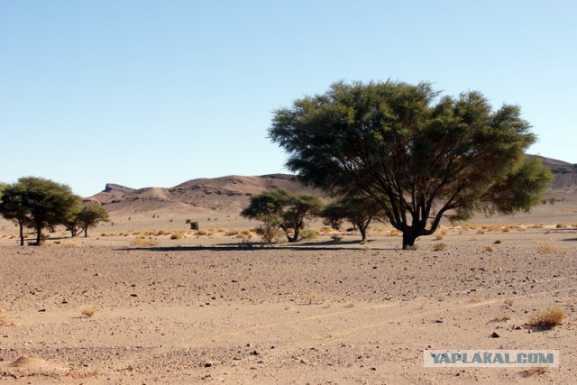 Новогодняя ночь в пустыне Сахара