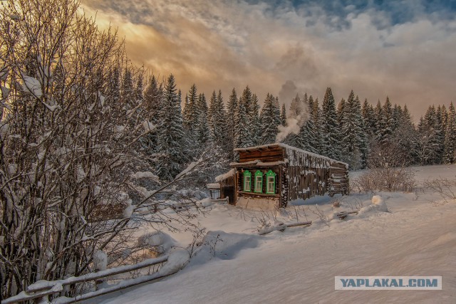 Сказочная зима от фотографа Владимира Чуприкова