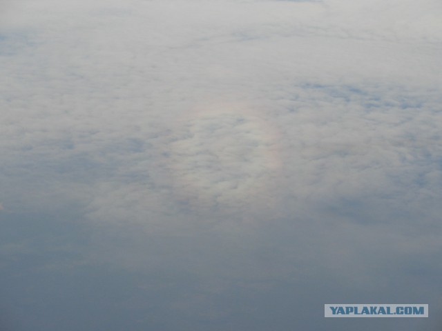 27 причин взять место у окна