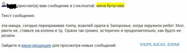 Молния! Запорожье прямой эфир!