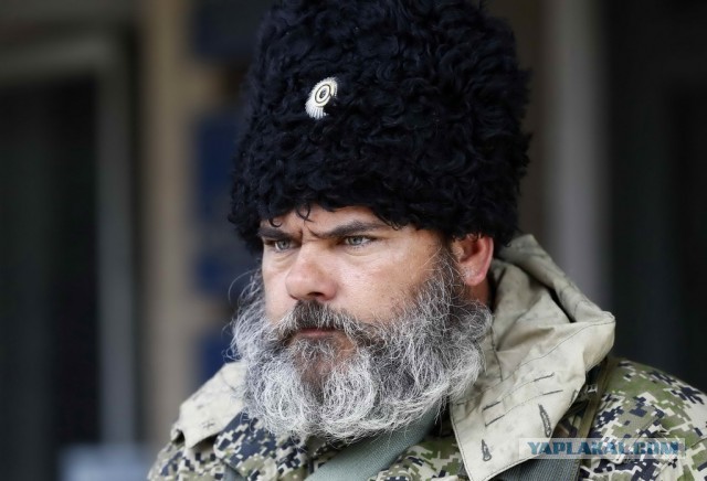 Докажи что не Кончита