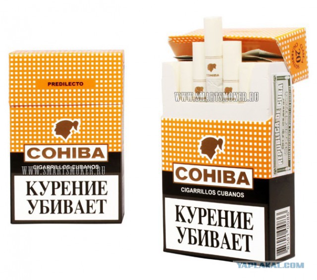 Шах и мат, Америка!
