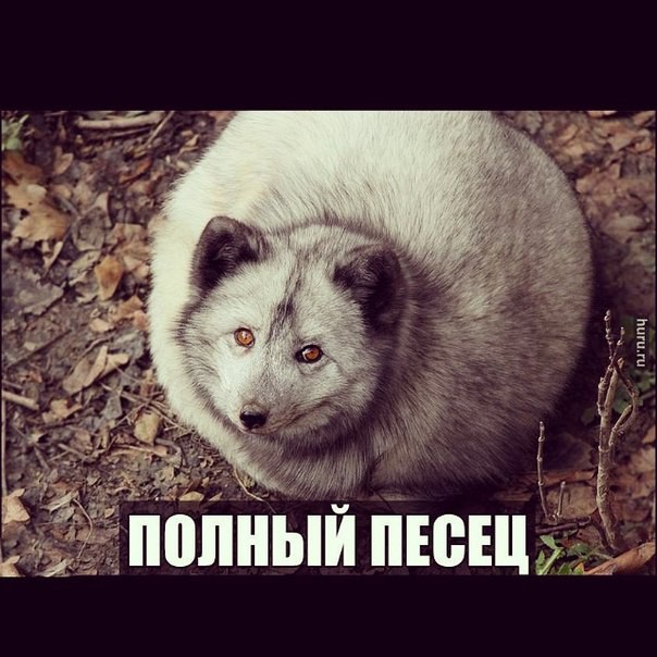 Это полный писец!