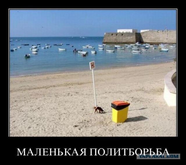 Весёлое из сети