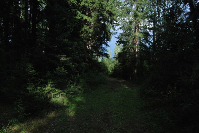 Скоро ЛЕТО!  А каким оно будет?